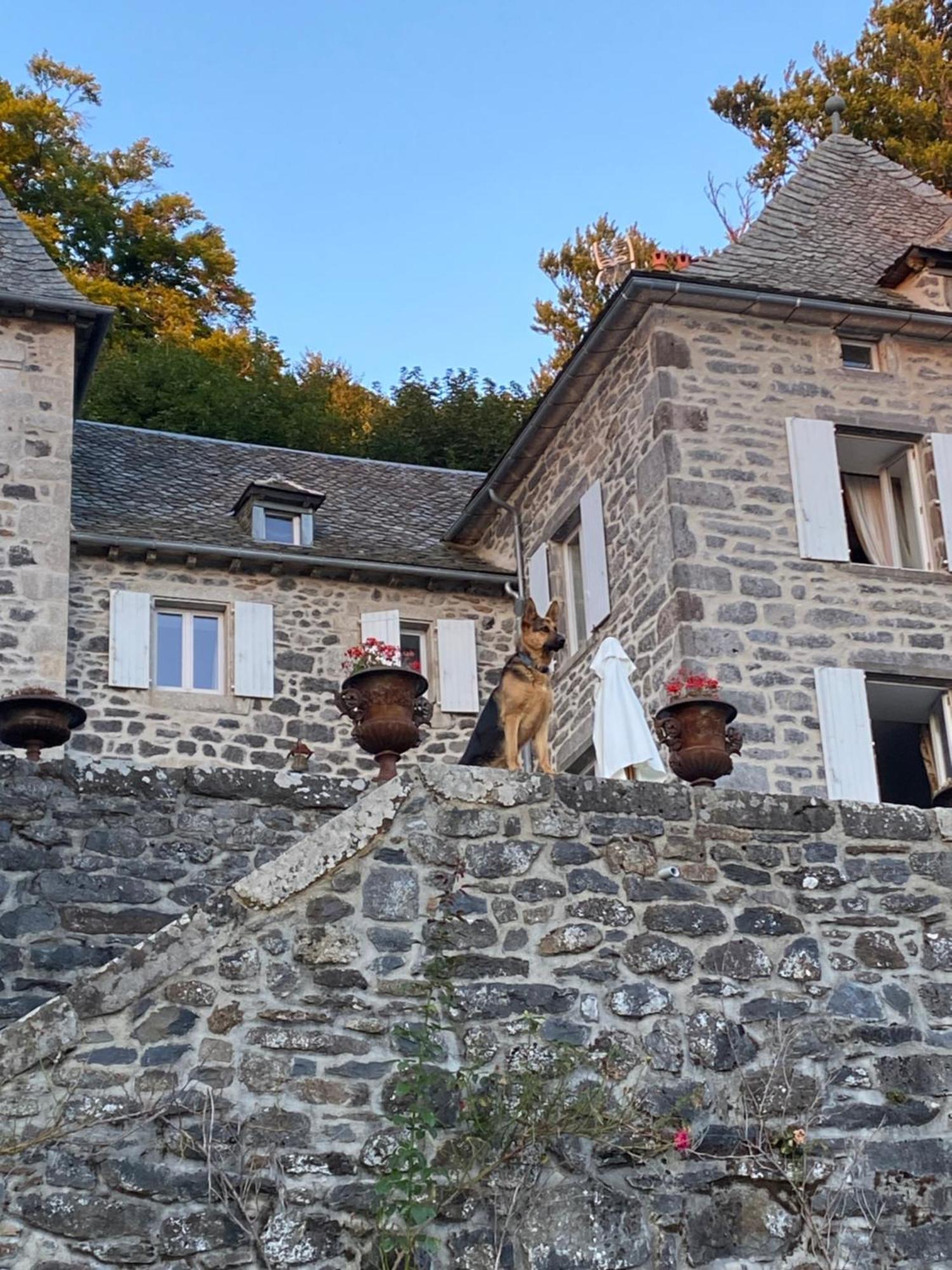 Chateau Du Puech Curieres Esterno foto